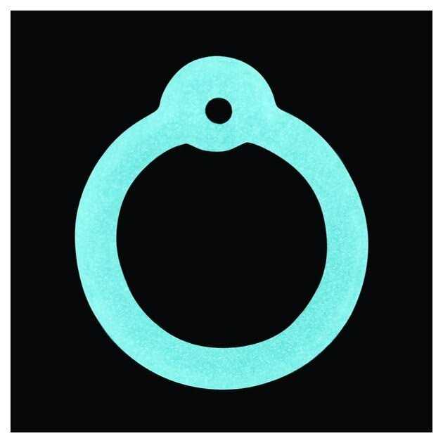 Anodized Aluminum Personalized Dog & Cat ID Tag C81819