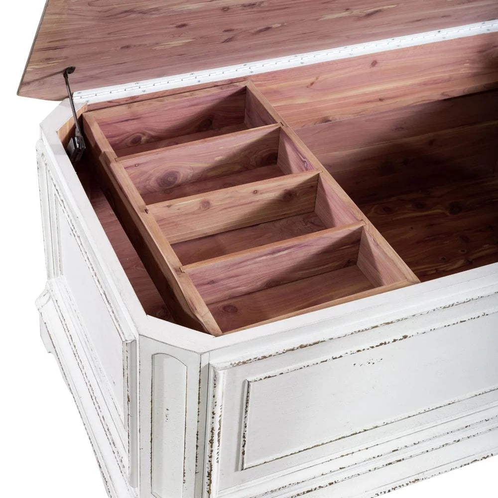 Storage Trunk P302