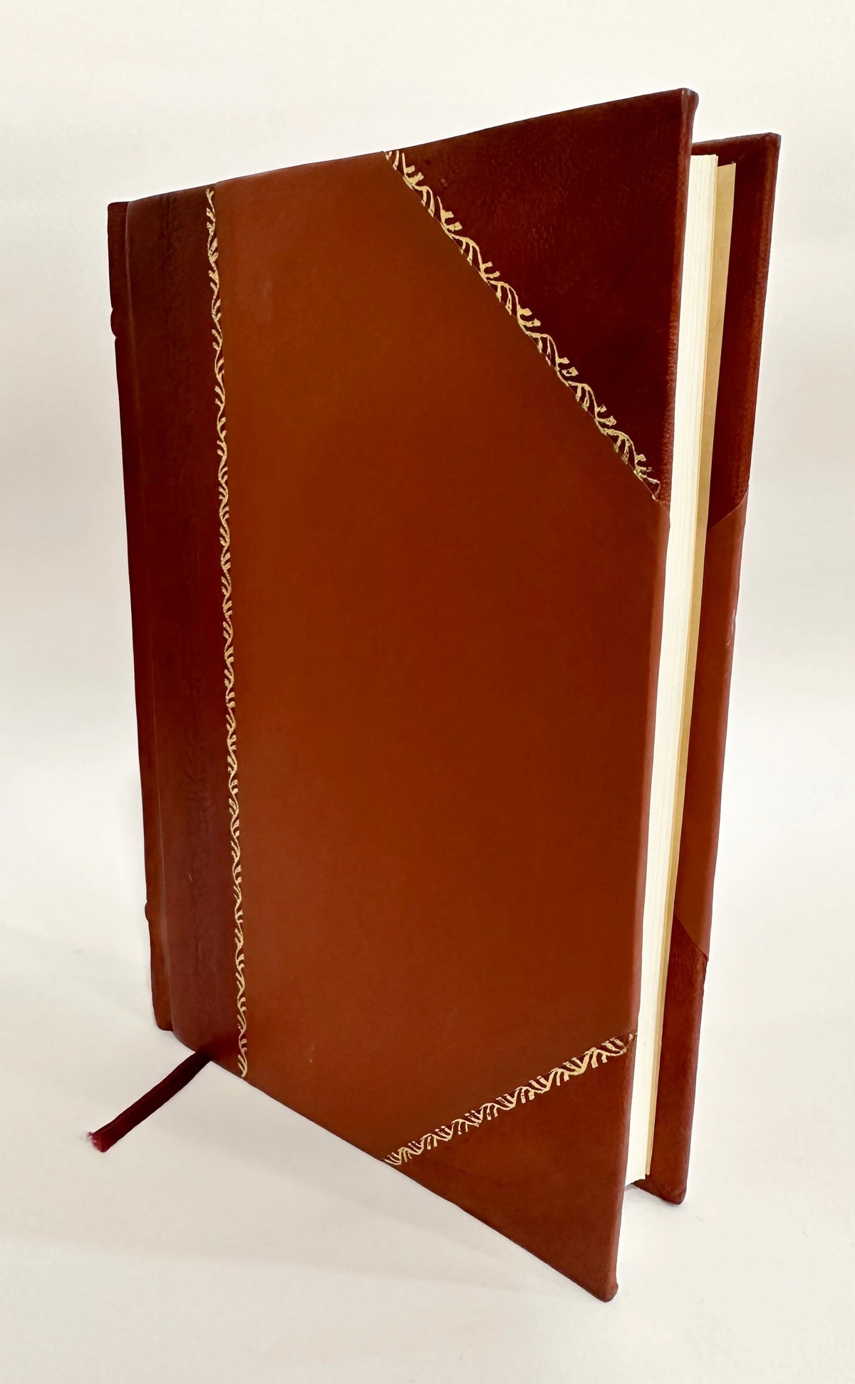 Leather Bound V1873