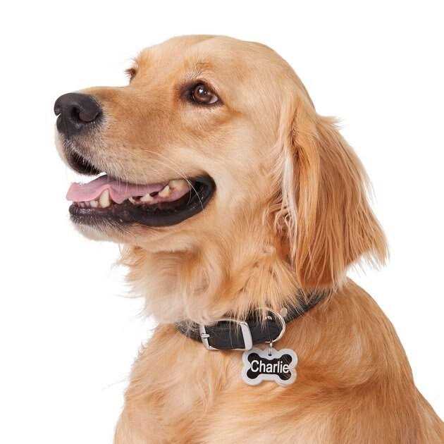 Anodized Aluminum Personalized Dog ID Tag I1338