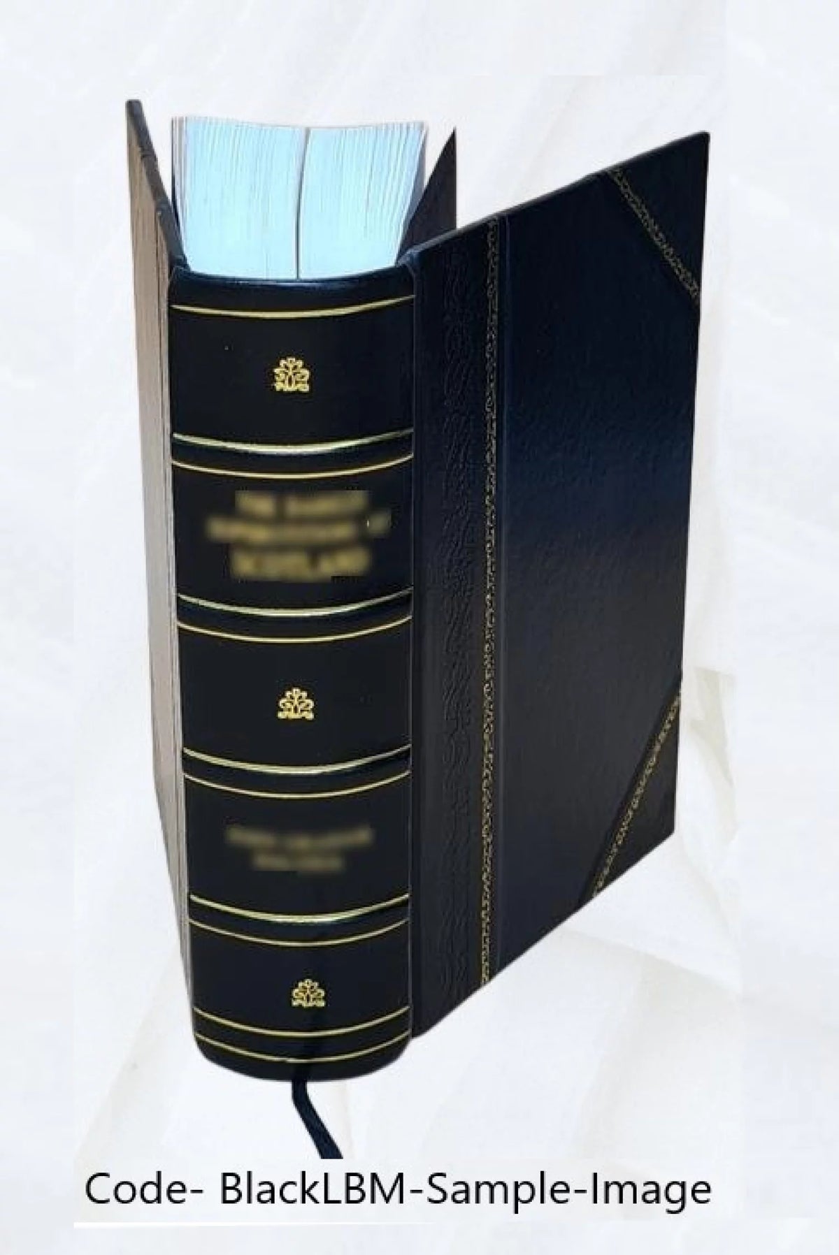 Leather Bound Book U197681
