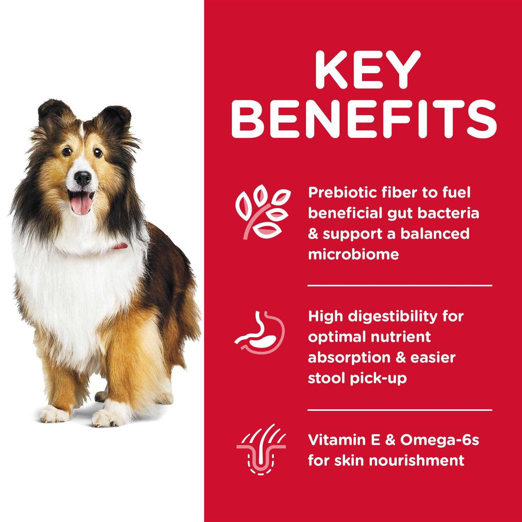 Sensitive Stomach & Skin Dry Dog Food M99924