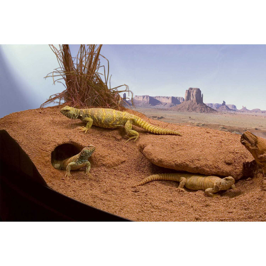 Clay Burrowing Substrate L356