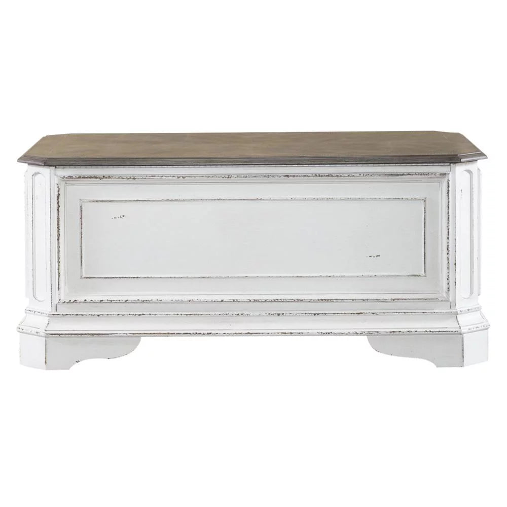 Storage Trunk P302