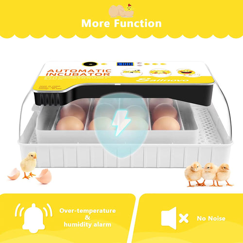 12-24 Eggs Incubator with Automatic Egg Turning and Temperature Control Y986894