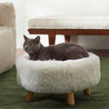 Round Elevated Cat Bed B294