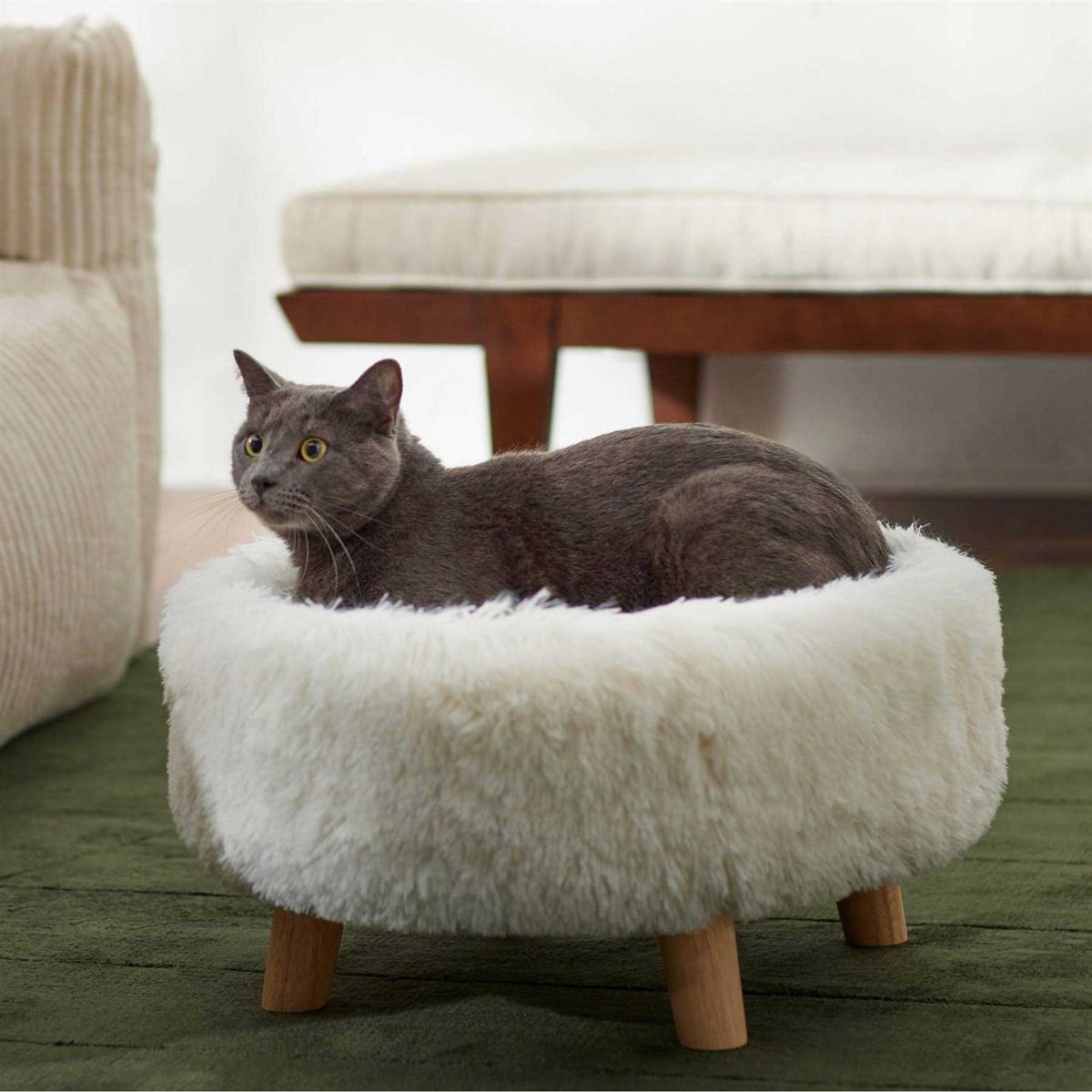 Round Elevated Cat Bed B294
