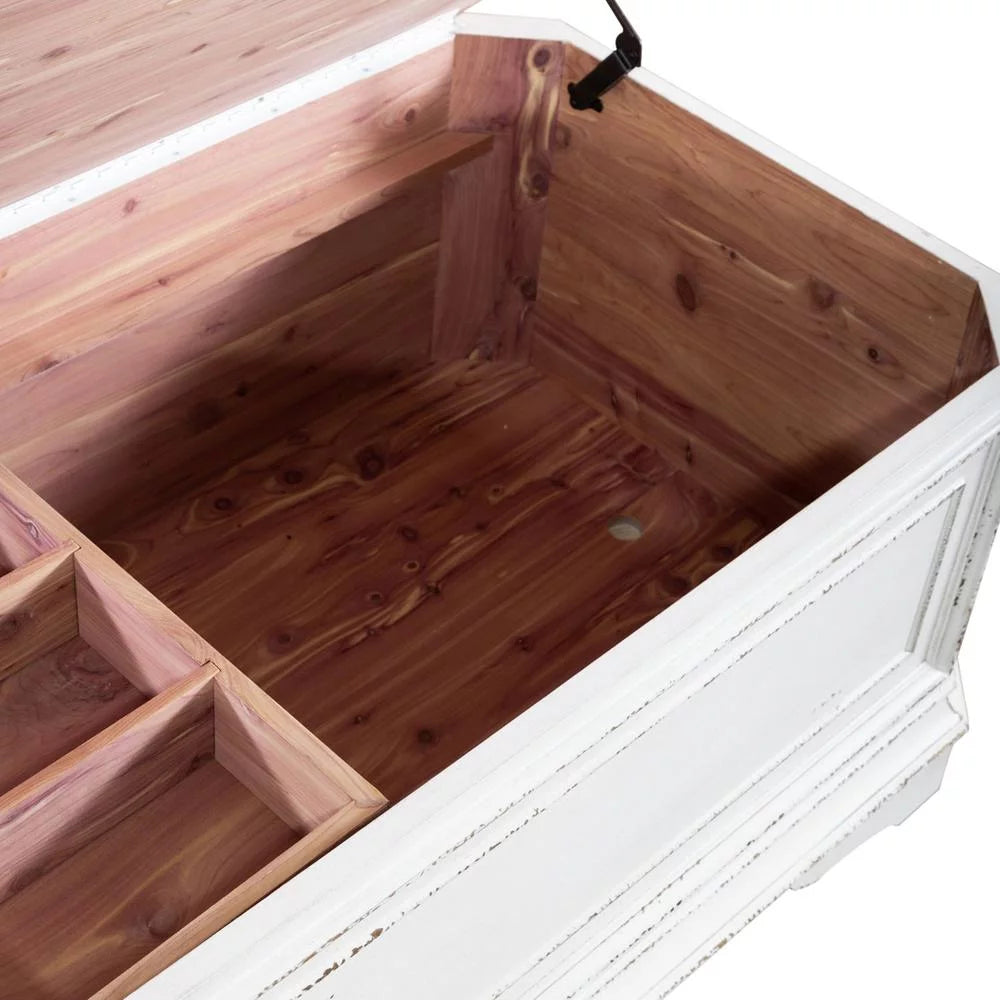 Storage Trunk P302