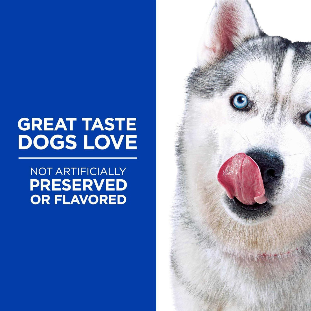 Grain Free Soft-Baked Dog Treats E81319