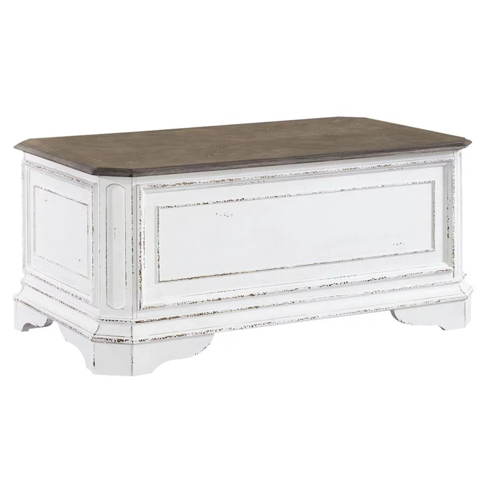 Storage Trunk P302